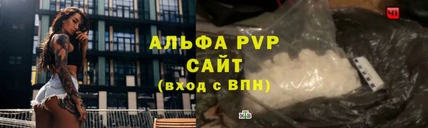 твердый Горно-Алтайск