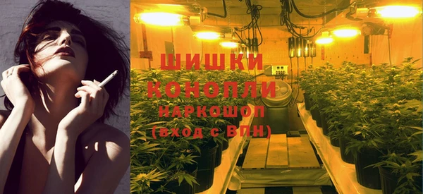 тгк Горнозаводск