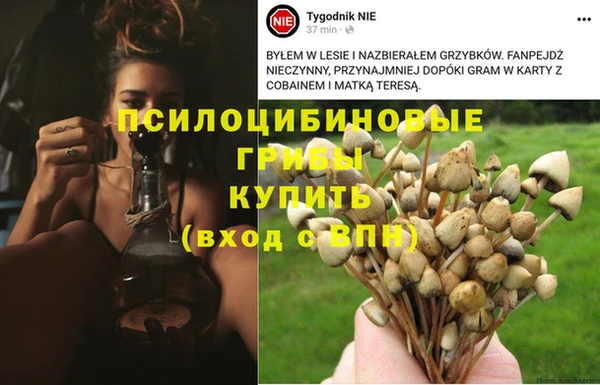 твердый Горно-Алтайск