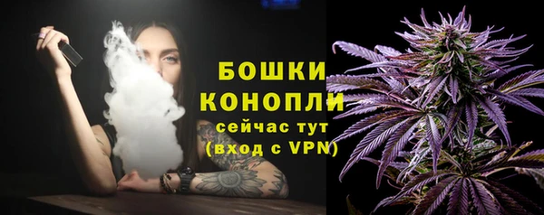 тгк Горнозаводск
