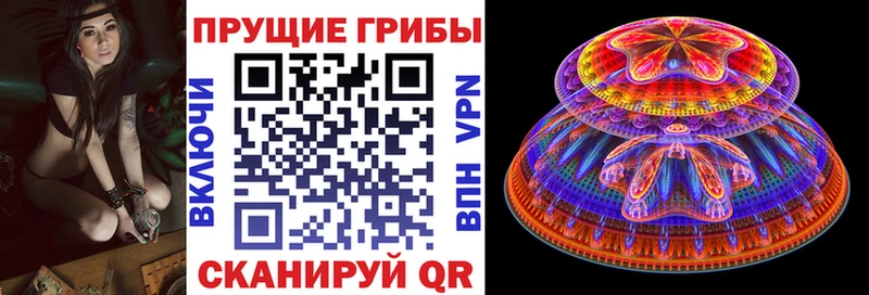 hydra зеркало  как найти   Омутнинск  Псилоцибиновые грибы мухоморы 